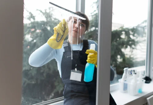 Nettoyage de vitres intérieures et extérieures à Mervans